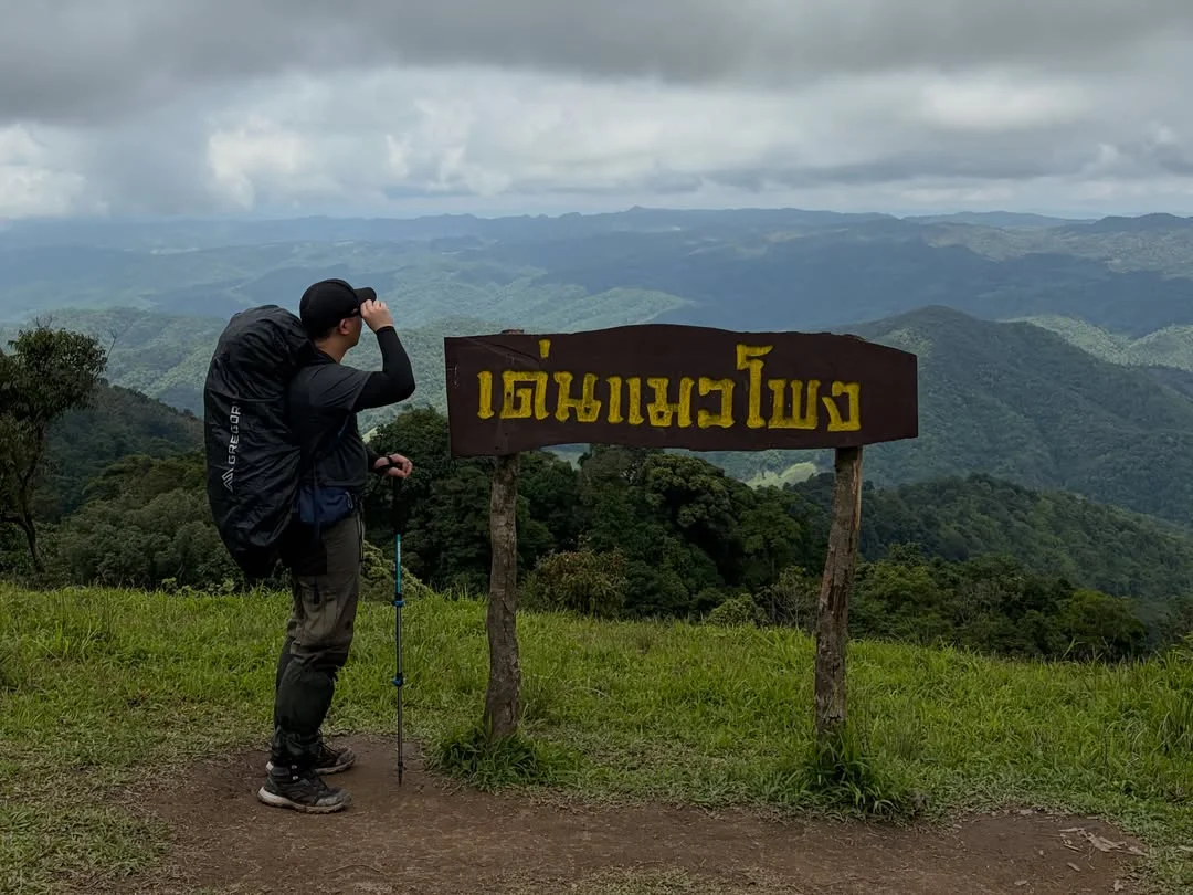 เด่นแมวโพรง