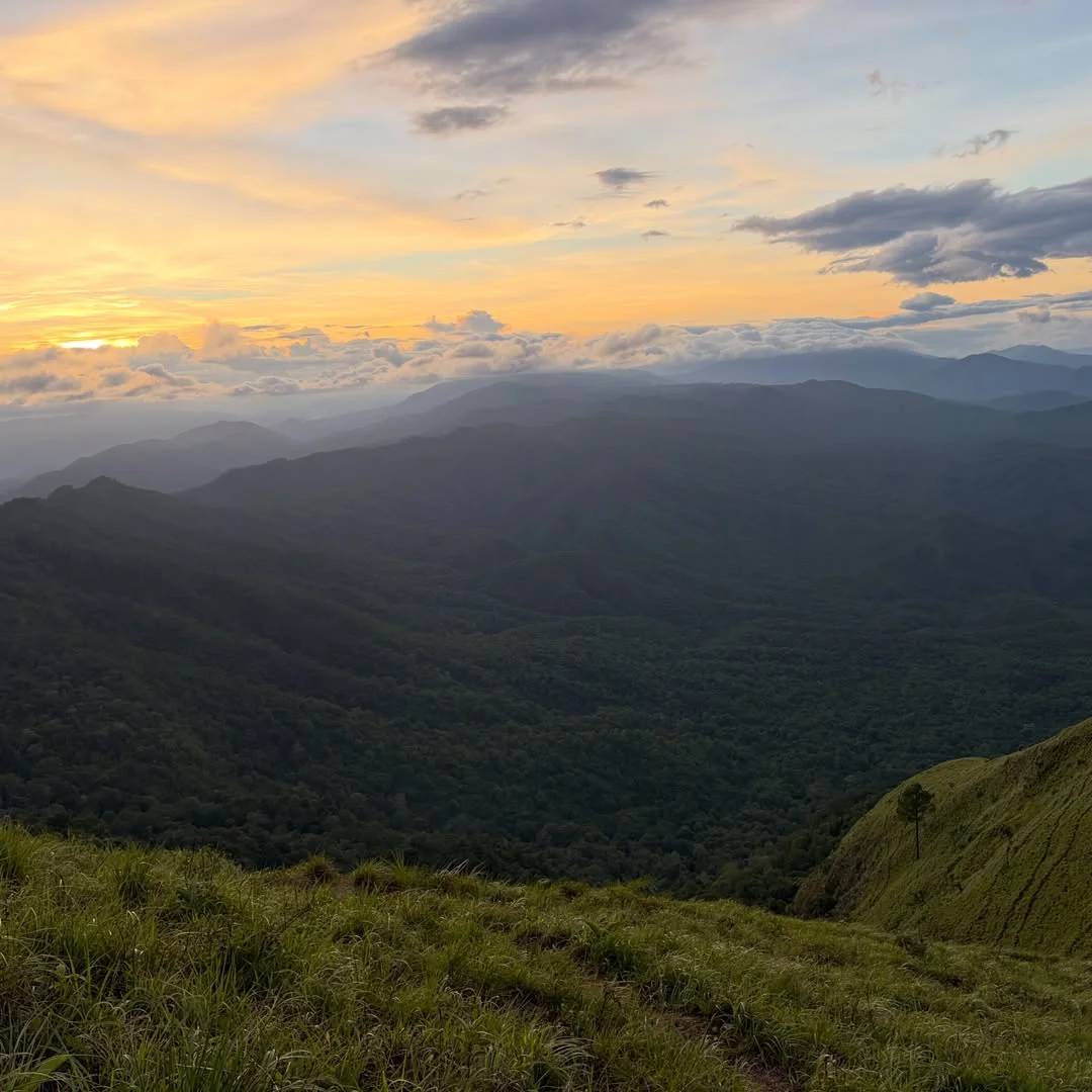 แสงทองช่วง golden hour บนยอดดอย