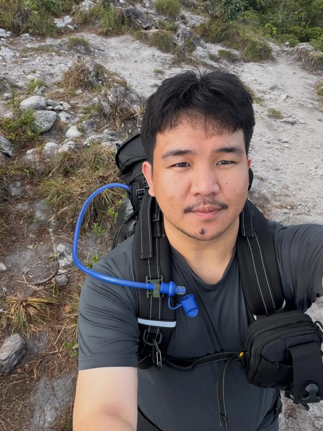 เส้นทางในป่า