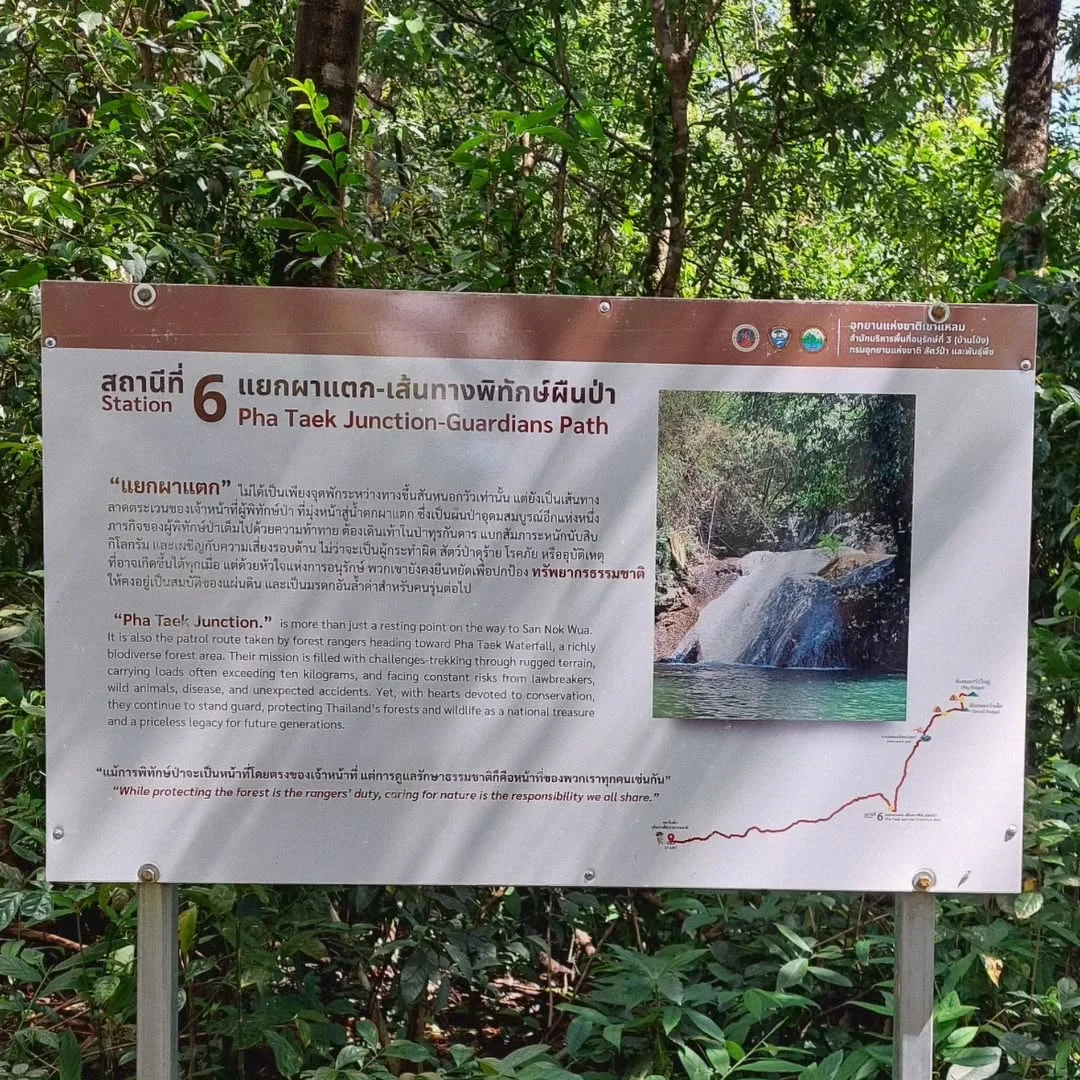วิวภูเขารอบสันหนอกวัว