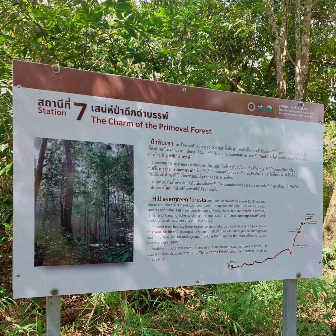 แนวสันเขาและวิวเปิดกว้าง