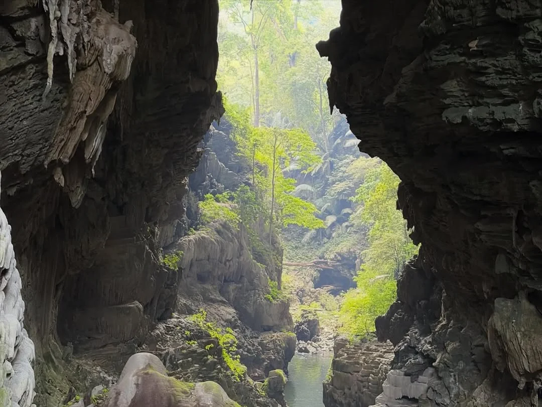 เที่ยวเดินป่า | อุทยานแห่งชาติลำคลองงู ถ้ำนกนางแอ่น