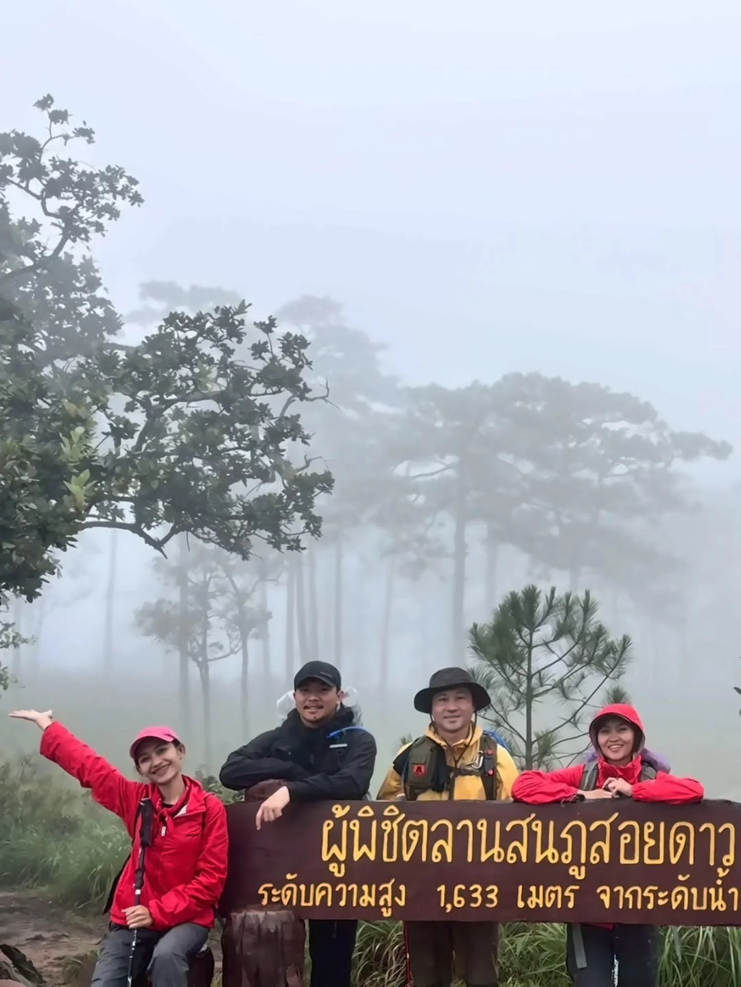 บรรยากาศลานสนภูสอยดาว